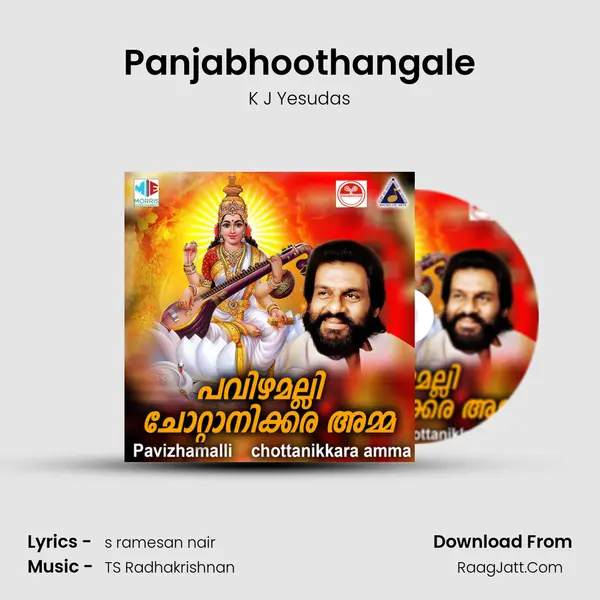 Panjabhoothangale MP3 Song by K J Yesudas Cover