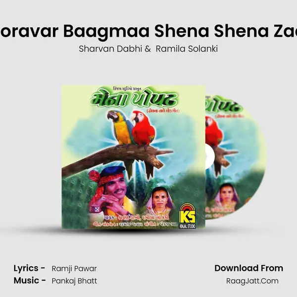 Zoravar Baagmaa Shena Shena Zad MP3 Song by Sharvan Dabhi Cover