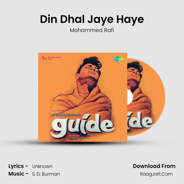 Din Dhal Jaye Haye Cover
