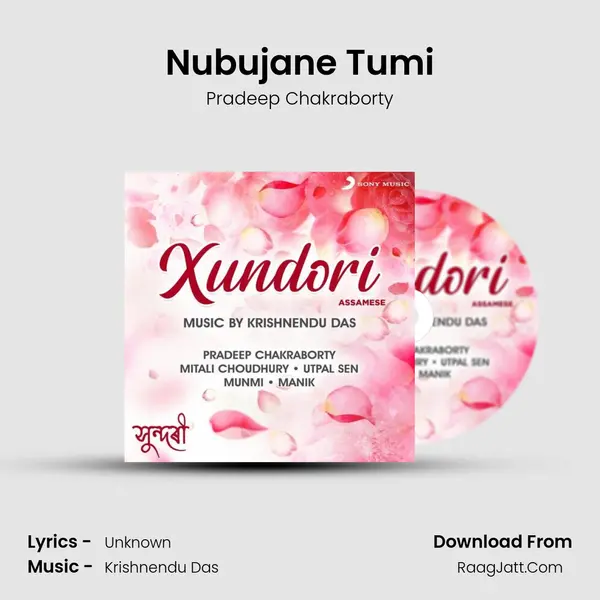 Nubujane Tumi MP3 Song by Pradeep Chakraborty Cover