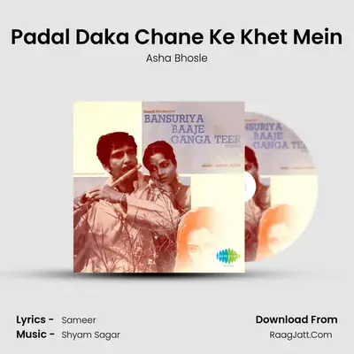 Padal Daka Chane Ke Khet Mein MP3 Song by Asha Bhosle Cover