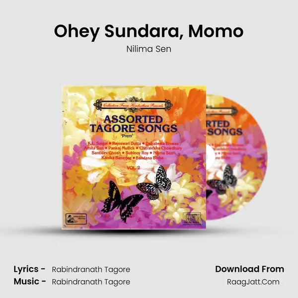 Ohey Sundara, Momo MP3 Song by Nilima Sen Cover