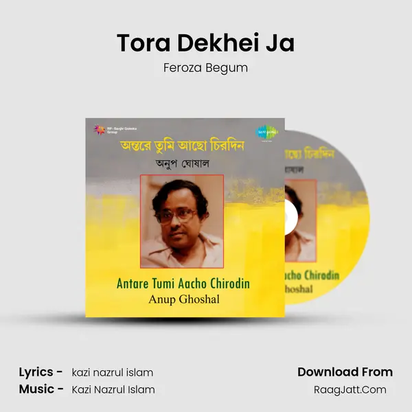 Tora Dekhei Ja MP3 Song by Feroza Begum Cover
