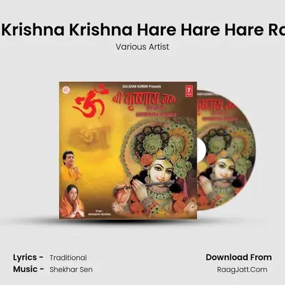 Om Shree Krishnaye Namah - Various Artists