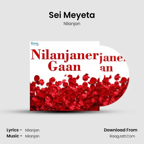 Sei Meyeta MP3 Song by Nilanjan Cover
