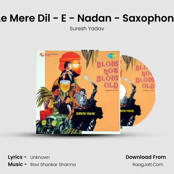 Ae Mere Dil - E - Nadan - Saxophone MP3 Song by Suresh Yadav Cover