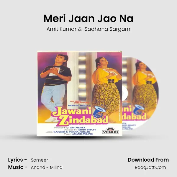 Meri Jaan Jao Na MP3 Song by Amit Kumar Cover