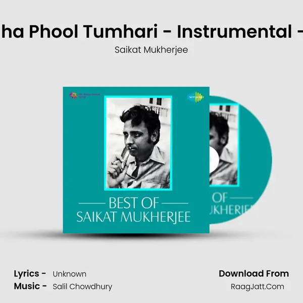 Rajani Gandha Phool Tumhari - Instrumental - Harmonica MP3 Song by Saikat Mukherjee Cover