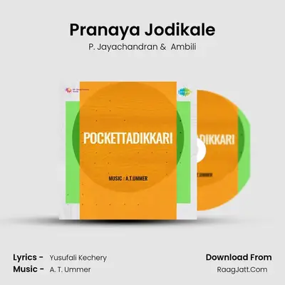 Pokkattadikkaari - P. Jayachandran