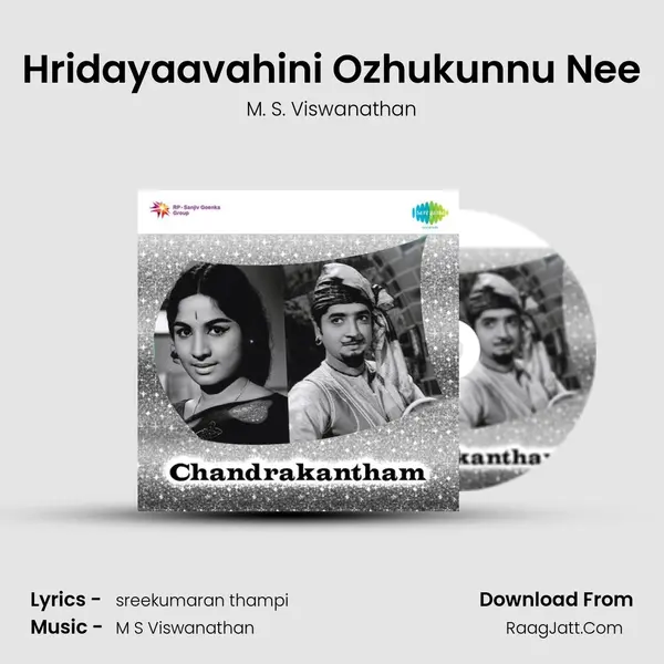 Hridayaavahini Ozhukunnu Nee MP3 Song by M. S. Viswanathan Cover