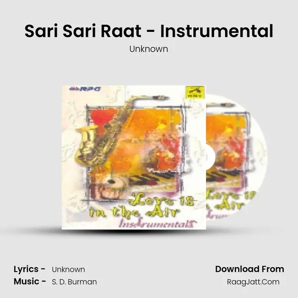 Sari Sari Raat - Instrumental MP3 Song by Unknown Cover
