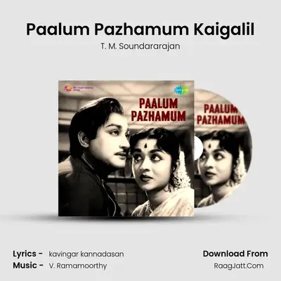 Paalum Pazhamum Kaigalil MP3 Song by T. M. Soundararajan Cover