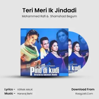 Teri Meri Ik Jindadi Cover