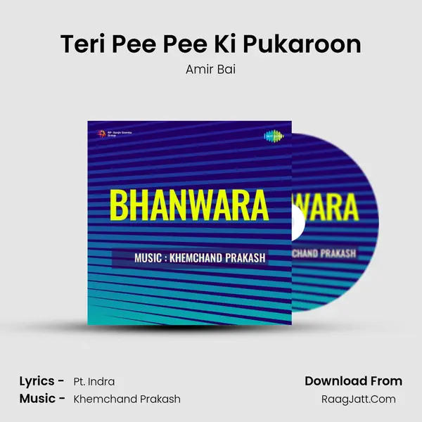 Teri Pee Pee Ki Pukaroon MP3 Song by Amir Bai Cover