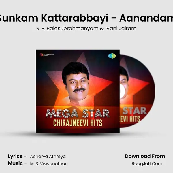Sunkam Kattarabbayi - Aanandam MP3 Song by S. P. Balasubrahmanyam Cover