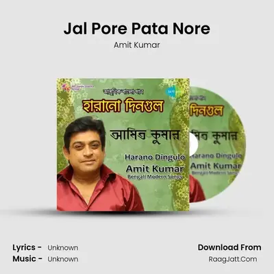 Jal Pore Pata Nore MP3 Song by Amit Kumar Cover