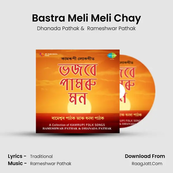 Bastra Meli Meli Chay MP3 Song by Dhanada Pathak Cover