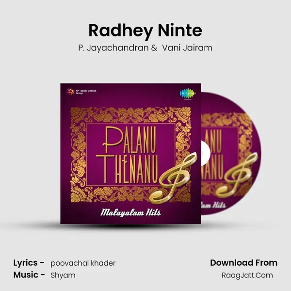 Radhey Ninte MP3 Song by P. Jayachandran Cover