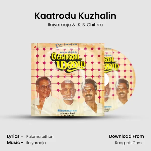 Kaatrodu Kuzhalin MP3 Song by Ilaiyaraaja Cover