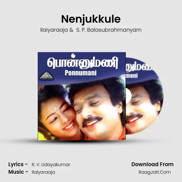 Nenjukkule MP3 Song by Ilaiyaraaja Cover