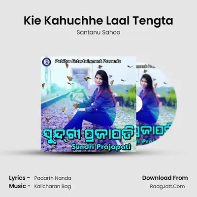 Kie Kahuchhe Laal Tengta MP3 Song by Santanu Sahoo Cover