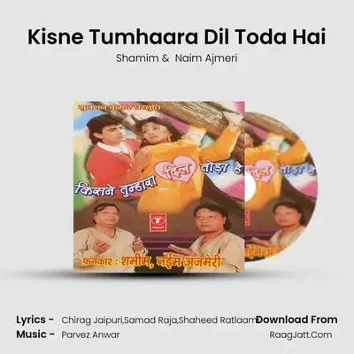 Kisne Tumhaara Dil Toda Hai mp3 song