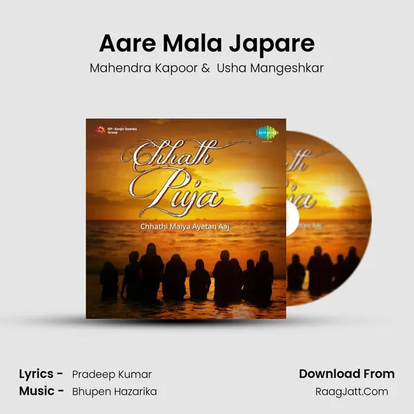 Aare Mala Japare Cover