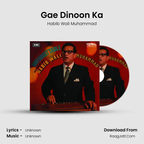 Gae Dinoon Ka MP3 Song by Habib Wali Muhammad Cover
