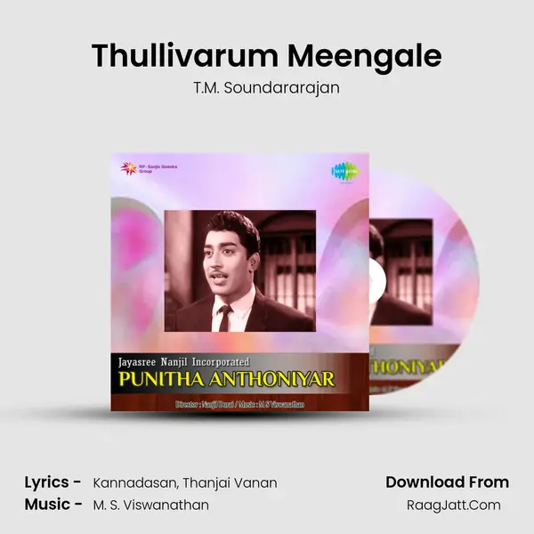 Thullivarum Meengale MP3 Song by T.M. Soundararajan Cover