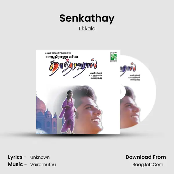 Senkathay MP3 Song by T.k.kala Cover