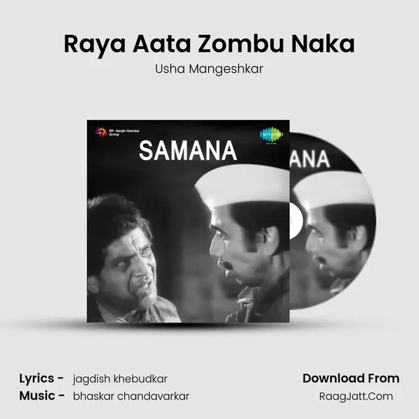 Raya Aata Zombu Naka Cover
