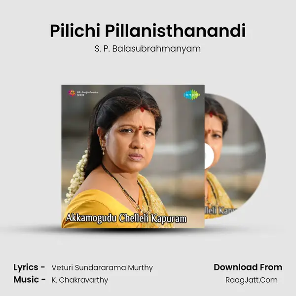 Pilichi Pillanisthanandi MP3 Song by S. P. Balasubrahmanyam Cover