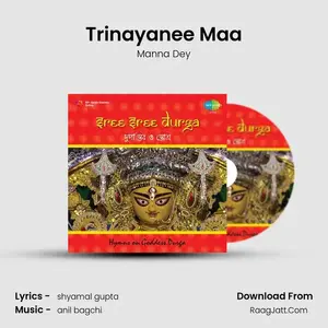 Trinayanee Maa Cover