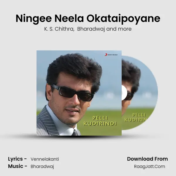 Ningee Neela Okataipoyane MP3 Song by K. S. Chithra Cover
