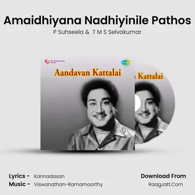 Amaidhiyana Nadhiyinile Pathos MP3 Song by P Suhseela Cover