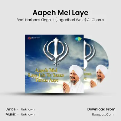 Aapeh Mel Laye MP3 Song by Bhai Harbans Singh Ji (Jagadhari Wale) Cover