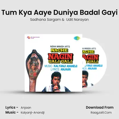 Tum Kya Aaye Duniya Badal Gayi MP3 Song by Sadhana Sargam Cover