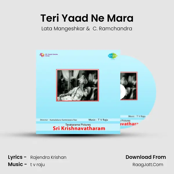 Teri Yaad Ne Mara Cover