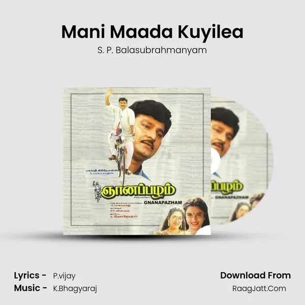 Mani Maada Kuyilea MP3 Song by S. P. Balasubrahmanyam Cover