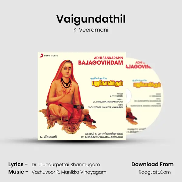 Vaigundathil MP3 Song by K. Veeramani Cover