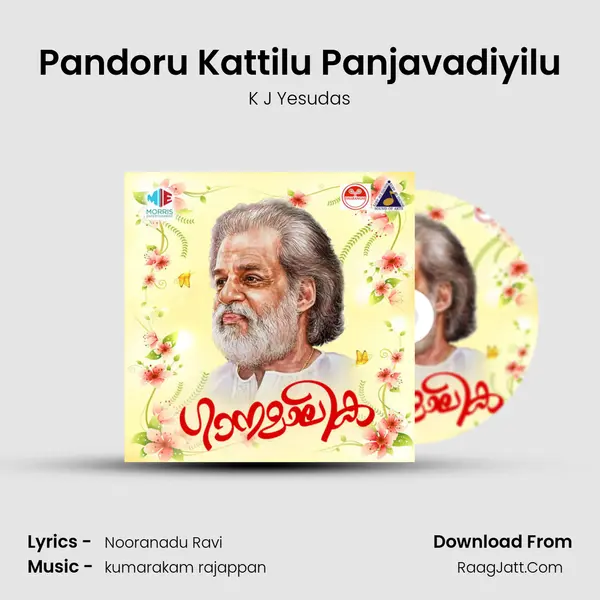 Pandoru Kattilu Panjavadiyilu MP3 Song by K J Yesudas Cover