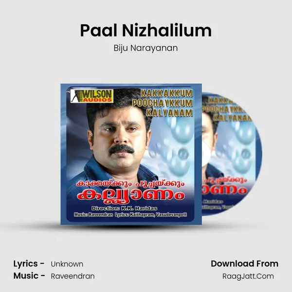 Paal Nizhalilum MP3 Song by Biju Narayanan Cover