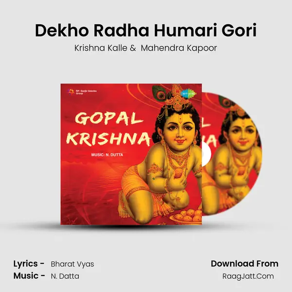 Dekho Radha Humari Gori Cover