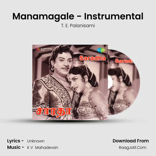 Manamagale - Instrumental MP3 Song by T. E. Palanisami Cover