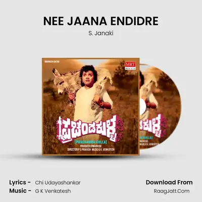 NEE JAANA ENDIDRE MP3 Song by S. Janaki Cover