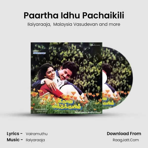 Paartha Idhu Pachaikili MP3 Song by Ilaiyaraaja Cover