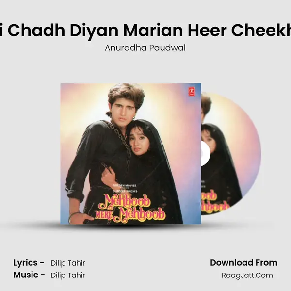 Doli Chadh Diyan Marian Heer Cheekhan MP3 Song by Anuradha Paudwal Cover