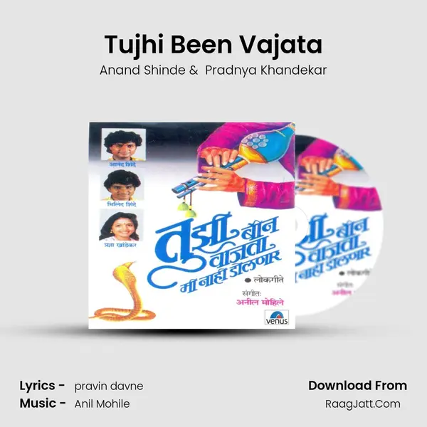 Tujhi Been Vajata MP3 Song by Anand Shinde Cover