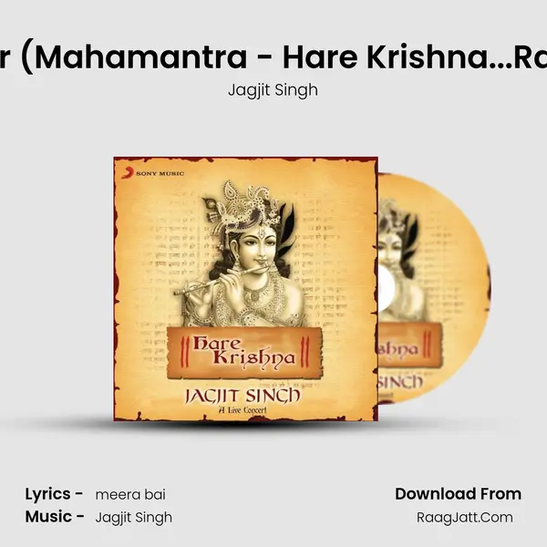 Hari Tum Haro Jan Ki Peer (Mahamantra - Hare Krishna...Raag Puriya Dhanashree (L MP3 Song by Jagjit Singh Cover