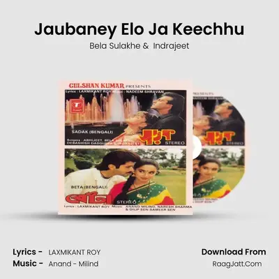 Jaubaney Elo Ja Keechhu MP3 Song by Bela Sulakhe Cover